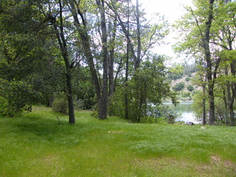 Enlarge photo 71