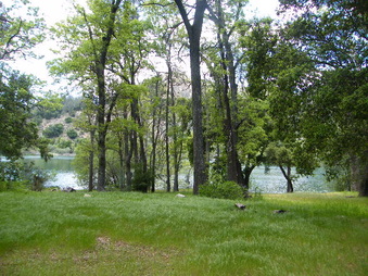 Enlarge photo 72