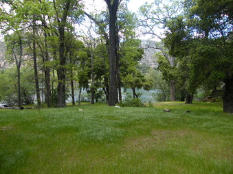 Enlarge photo 73