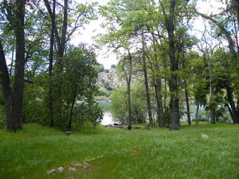 Enlarge photo 74