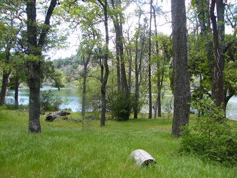 Enlarge photo 75