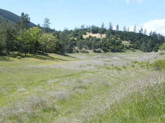 Enlarge photo 77