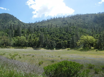 Enlarge photo 79