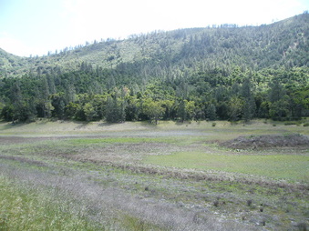 Enlarge photo 80