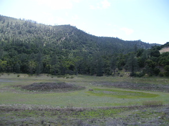 Enlarge photo 82