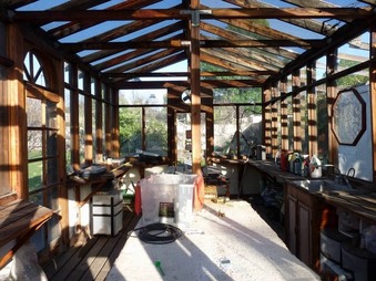 Enlarge photo 37