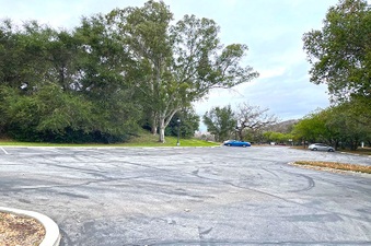 Enlarge photo 209
