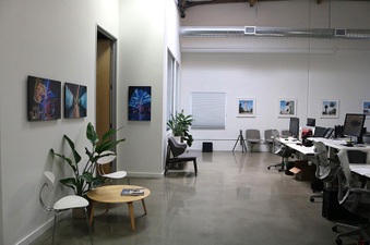Enlarge photo 55