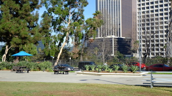 Enlarge photo 11