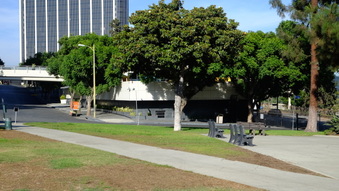 Enlarge photo 12