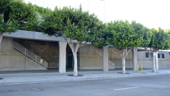 Enlarge photo 14