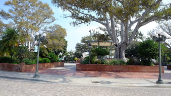Enlarge photo 12