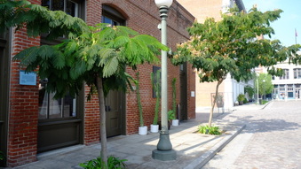 Enlarge photo 16