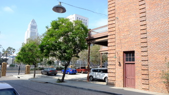 Enlarge photo 25