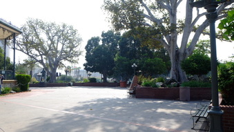 Enlarge photo 38
