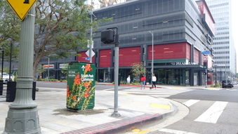 Enlarge photo 37