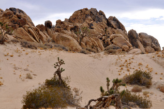 Enlarge photo 2