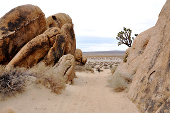 Enlarge photo 3
