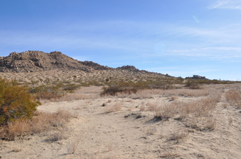 Enlarge photo 7