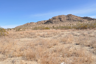 Enlarge photo 11