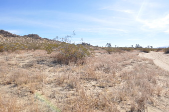 Enlarge photo 13