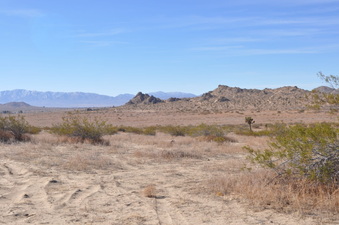 Enlarge photo 14