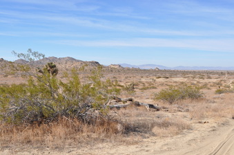 Enlarge photo 15