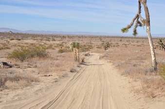 Enlarge photo 16