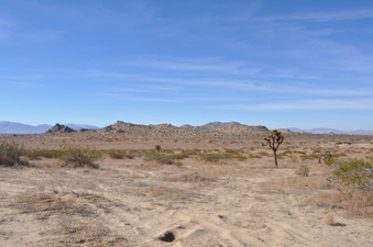 Enlarge photo 17