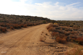 Enlarge photo 7