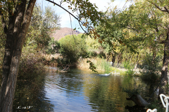Enlarge photo 3