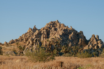 Enlarge photo 2