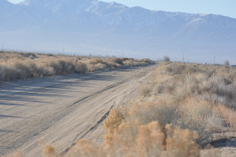 Enlarge photo 10