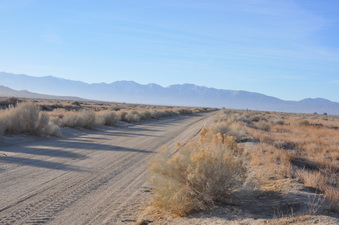 Enlarge photo 12