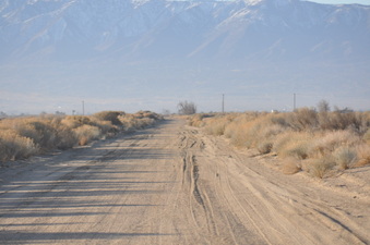 Enlarge photo 13