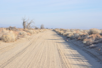 Enlarge photo 15