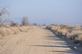 Enlarge photo 17