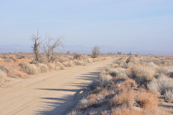 Enlarge photo 18