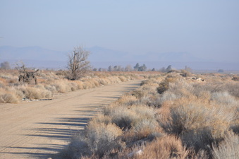 Enlarge photo 19