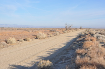 Enlarge photo 20