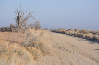 Enlarge photo 21