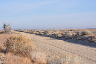 Enlarge photo 23