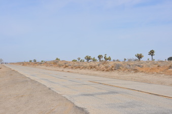 Enlarge photo 7