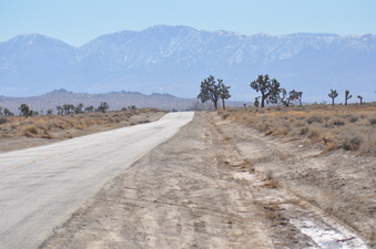 Enlarge photo 15