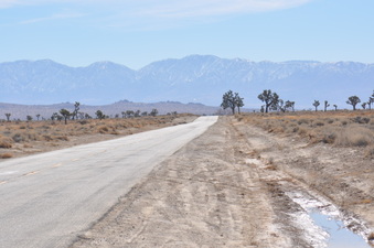 Enlarge photo 16