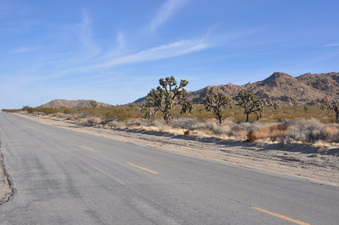 Enlarge photo 6