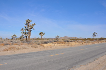 Enlarge photo 8