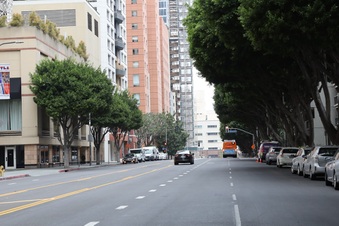 Enlarge photo 14