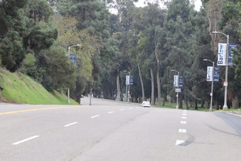 Enlarge photo 37