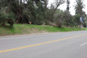 Enlarge photo 41